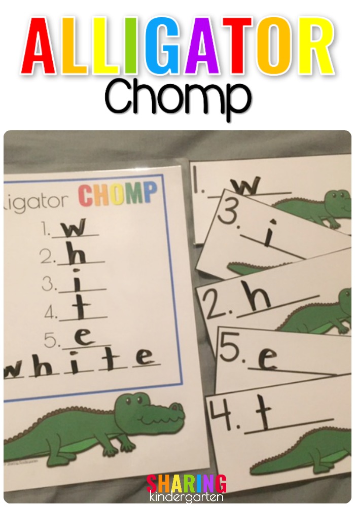 Alligator CHOMP