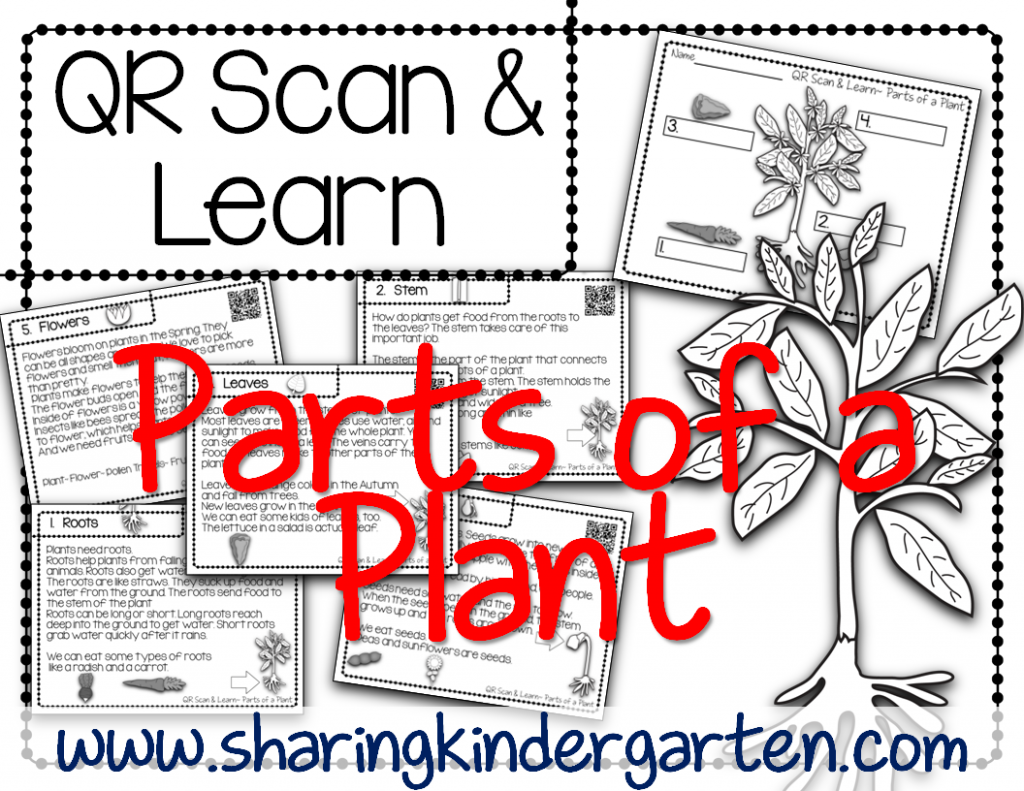 http://www.teacherspayteachers.com/Product/QR-Scan-Learn-Parts-of-a-Plant-1173382
