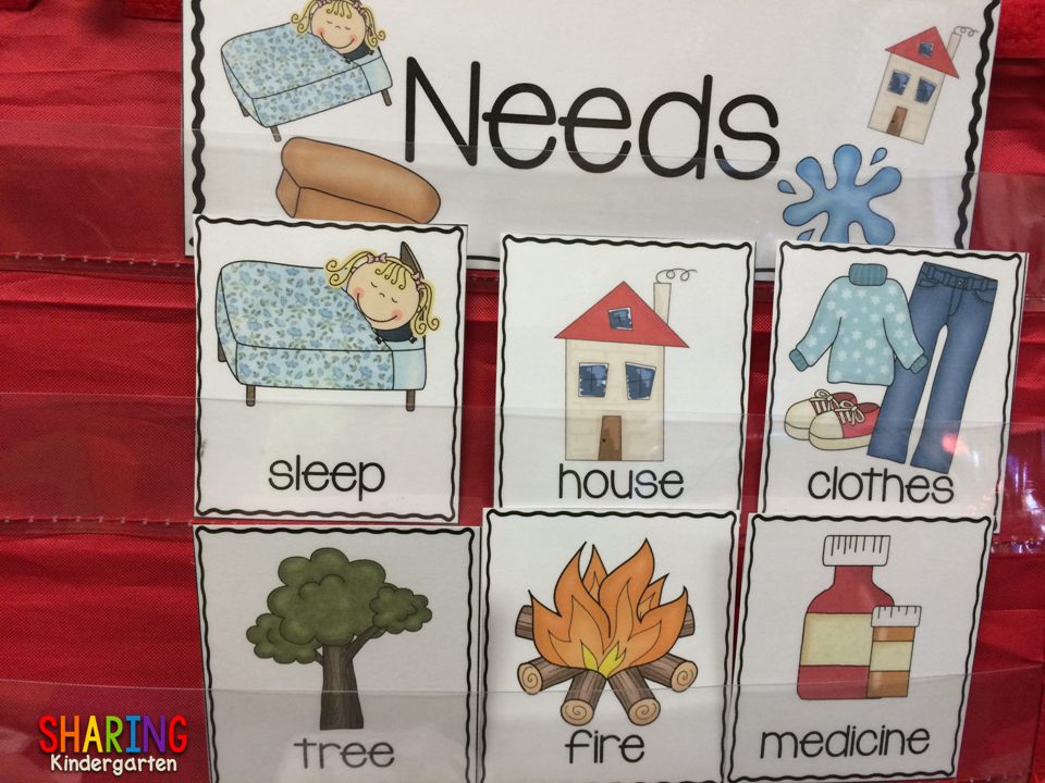 Wants and Needs Activities for Kindergarten