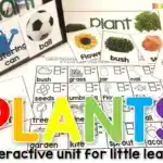 Plants Unit for Kindergarten