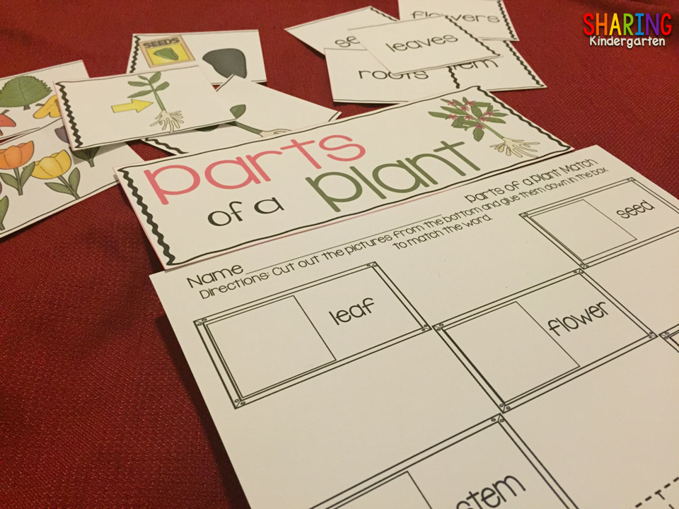 Parts of a Plant Print & Play Pack