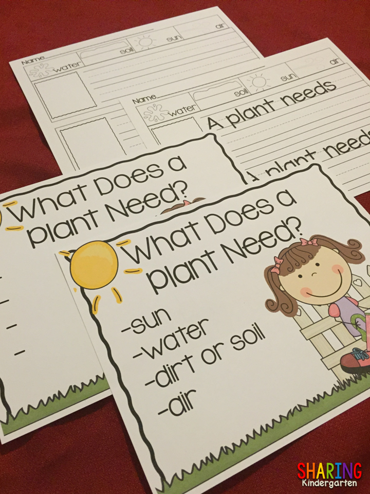 What Does a Plant Need?