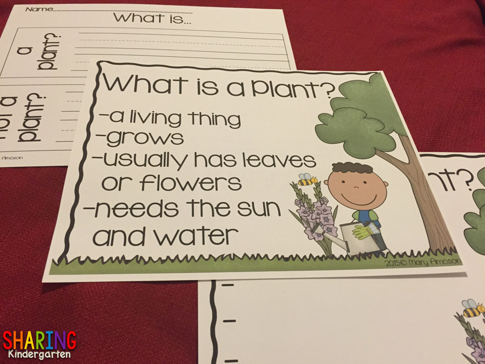 Plant Chart and Writing