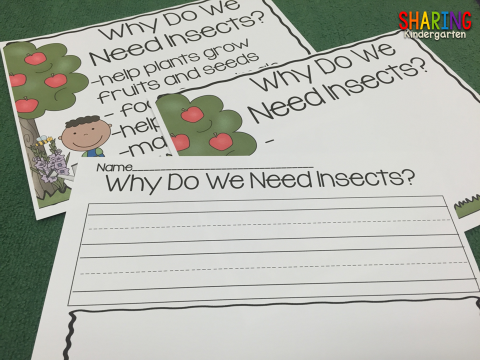 https://sharingkindergarten.com/product/insects/