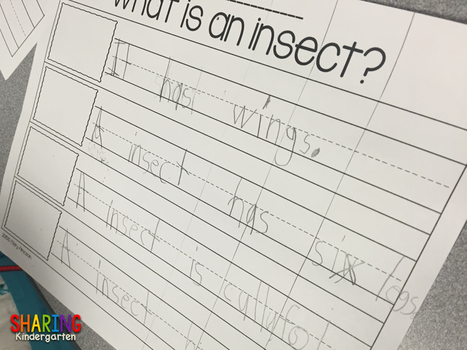 Insects Printables and Insect Activities
