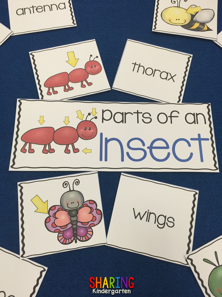 https://sharingkindergarten.com/product/insects/