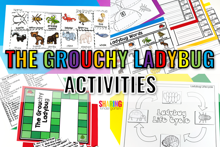The Grouchy Ladybug