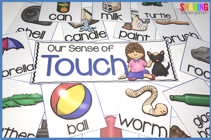 sense of touch sorting pieces