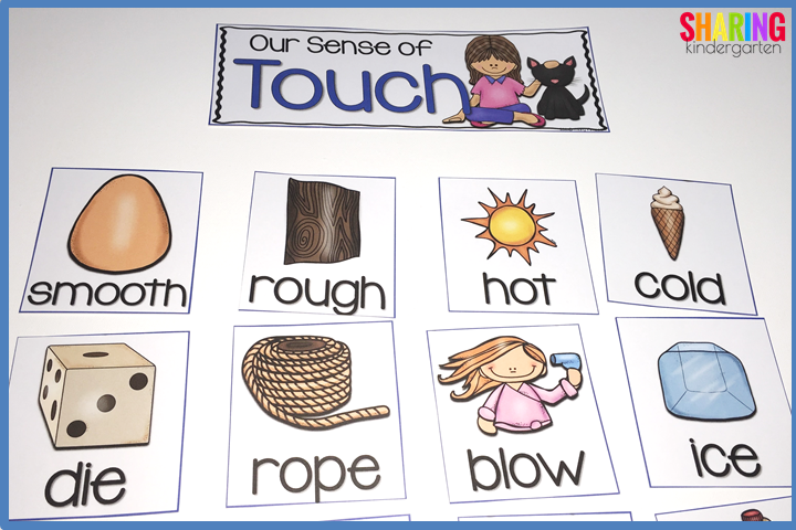 sense of touch sorting