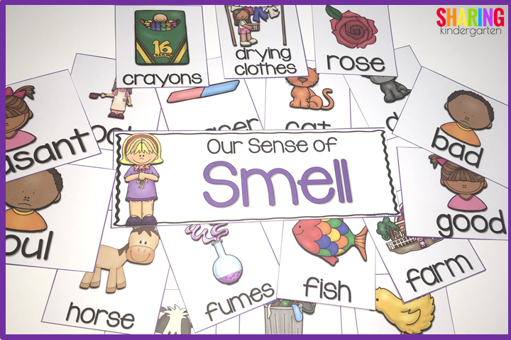 sense of smell sorting pieces