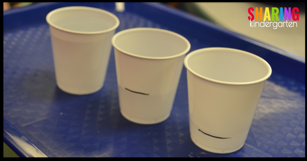experiment to see if the amount of water in a cup affects freezing