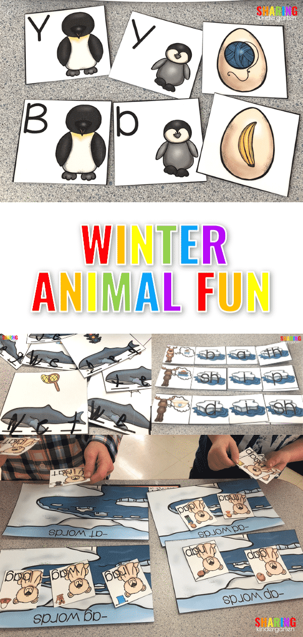winter animal Arctic and Antarctic Animals Activities