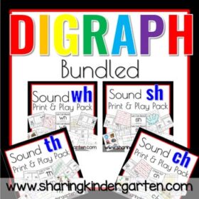 Digraph Bundle