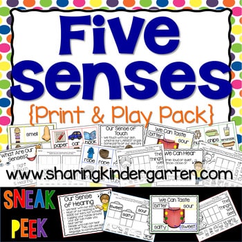 Five Senses2 Five Senses