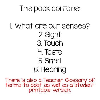 Five Senses3 Five Senses