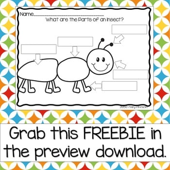 Insects4 Insect Activities & Insect Printables