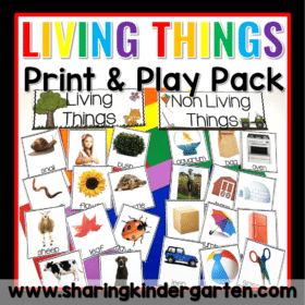 Living and Non Living Things