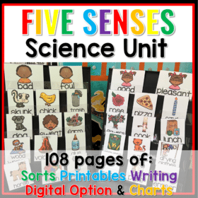 Five Senses