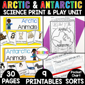 Arctic Animals and Antarctic Animals