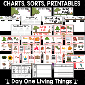 Living and Non Living Things