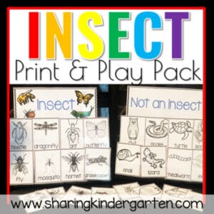 Insects- Insect Activities & Insect Printables