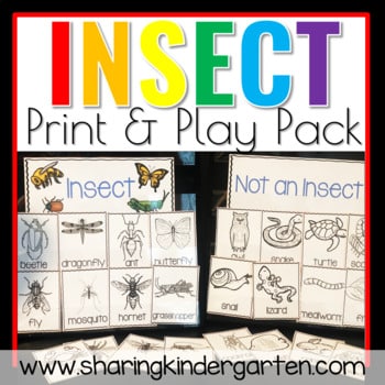 original 1829415 1 Insect Activities & Insect Printables