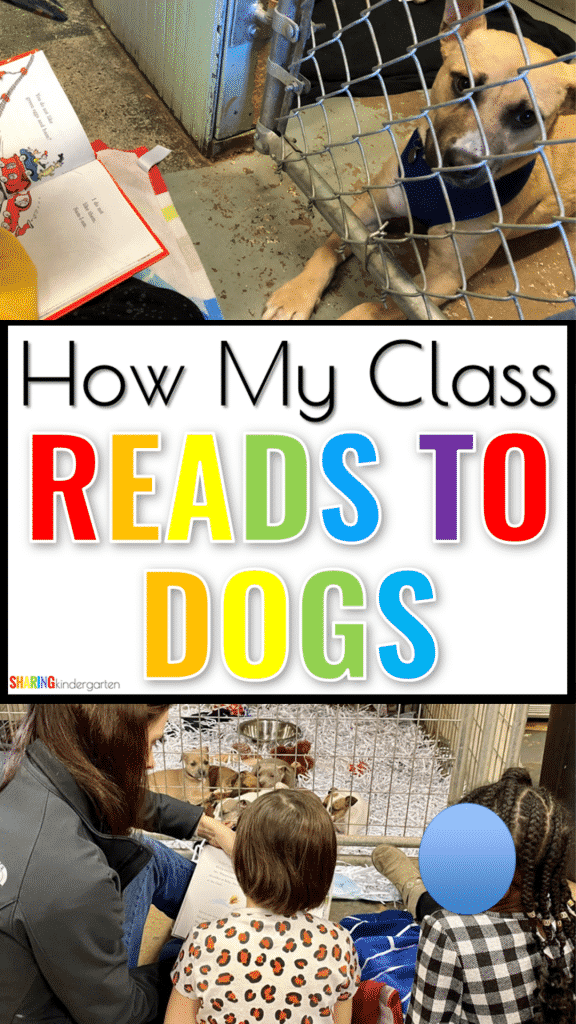 Blank Instagram Story Highlight Cover 9 1 Class Reads to Dogs