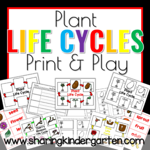 Plant Lifecycle Print & Play