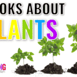 Books About Plants for Kindergarten