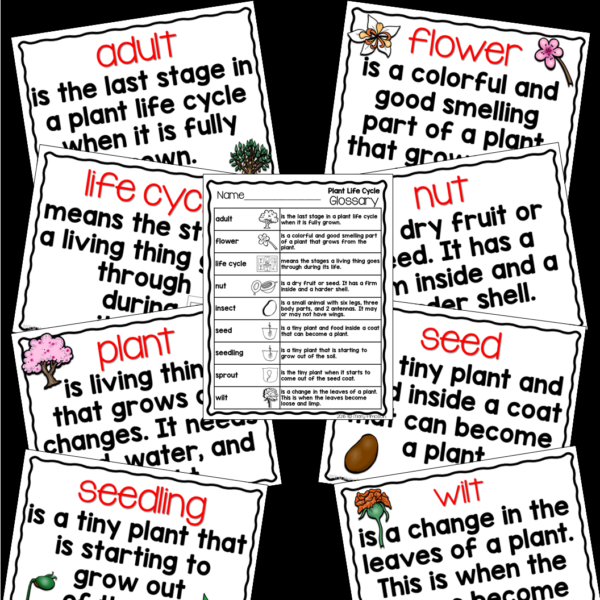 Slide5 4 Plant Lifecycle