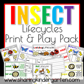Insect Lifecycle Print & Play Packs