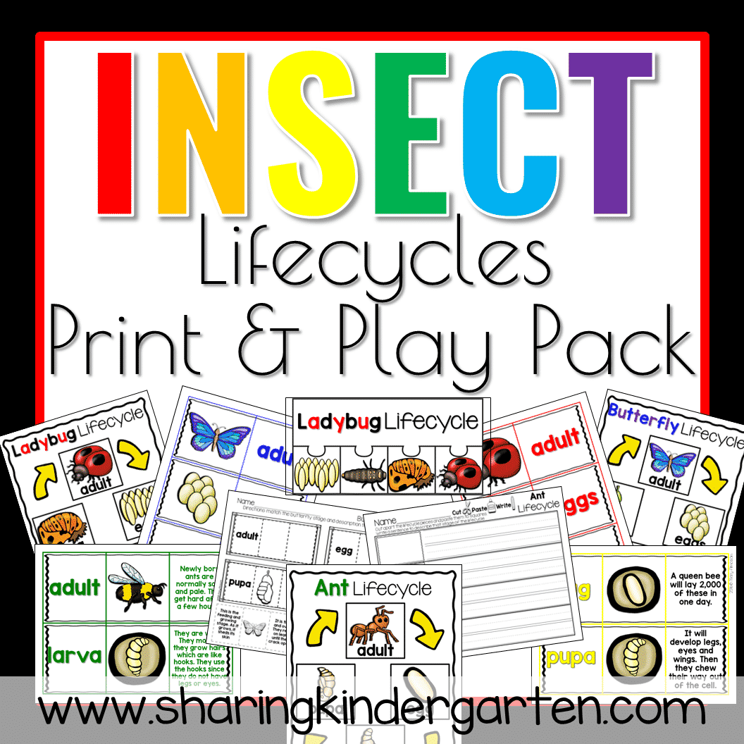 Insect Lifecycle Print & Play Packs