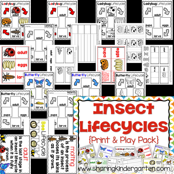 Slide9 Insect Lifecycle