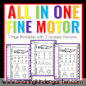 All in One Fine Motor Fun