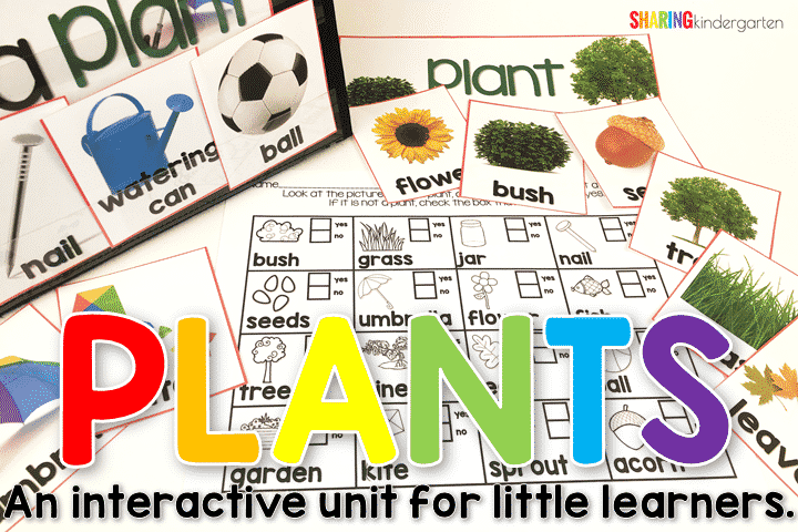Plants Unit for Kindergarten with plant printables and plant lesson plans