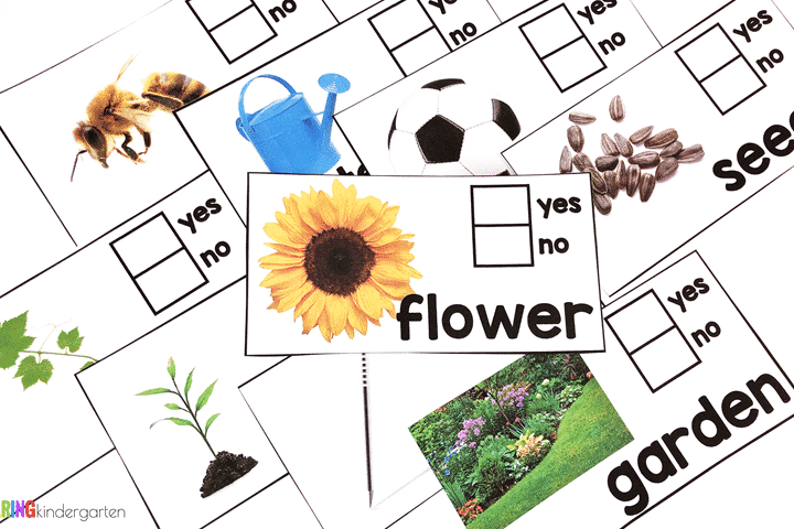 Check out this new activity for little learners; student check if the item is a plant or not a plant.
