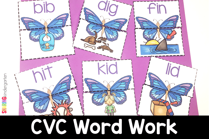 CVC Word Work activity for The Little Butterfly Who Could
