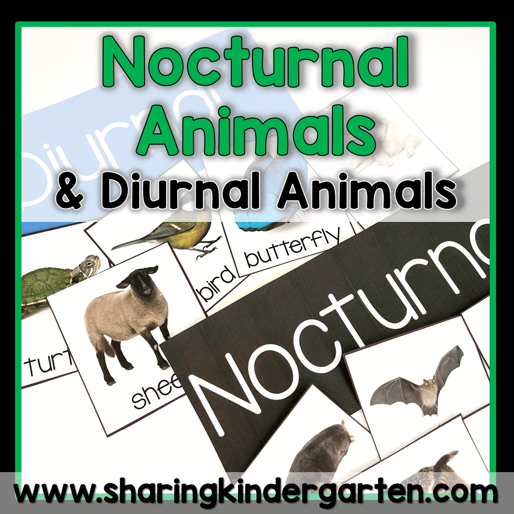 Nocturnal Animals Activities, Diurnal Animals Activities - Sharing  Kindergarten