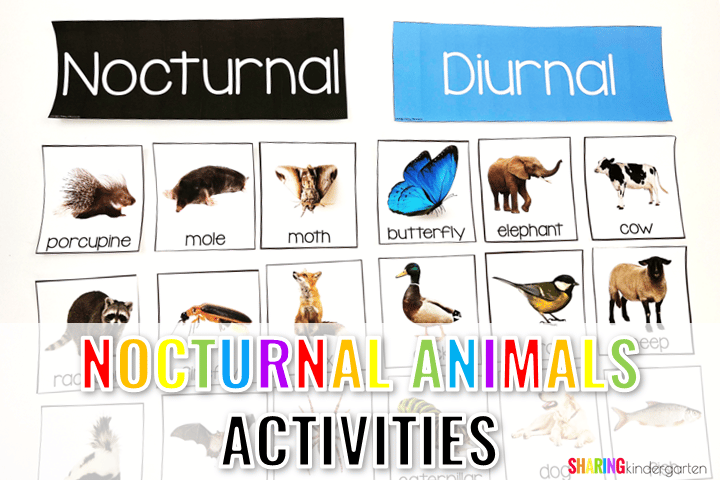 Slide9 1 Nocturnal Animal Books