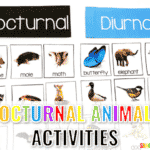 Nocturnal Animals Activities for Kindergarten