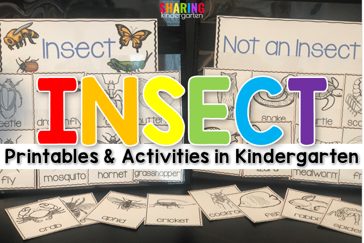Insects Printables and Insect Activities