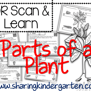 QR Scan & Learn~ Parts of a Plant