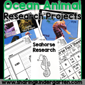 Ocean Animal Research
