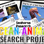 Ocean Animal Research Project with These Engaging Printables