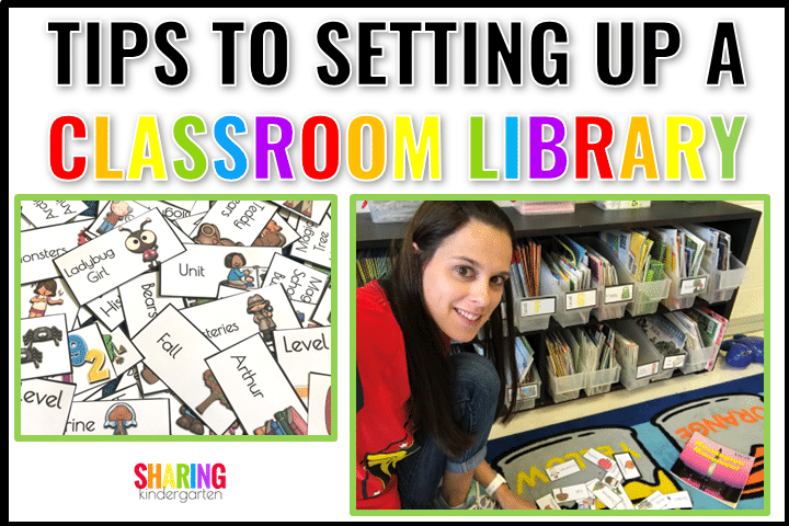 A Practical Guide to Setting Up a Classroom Library