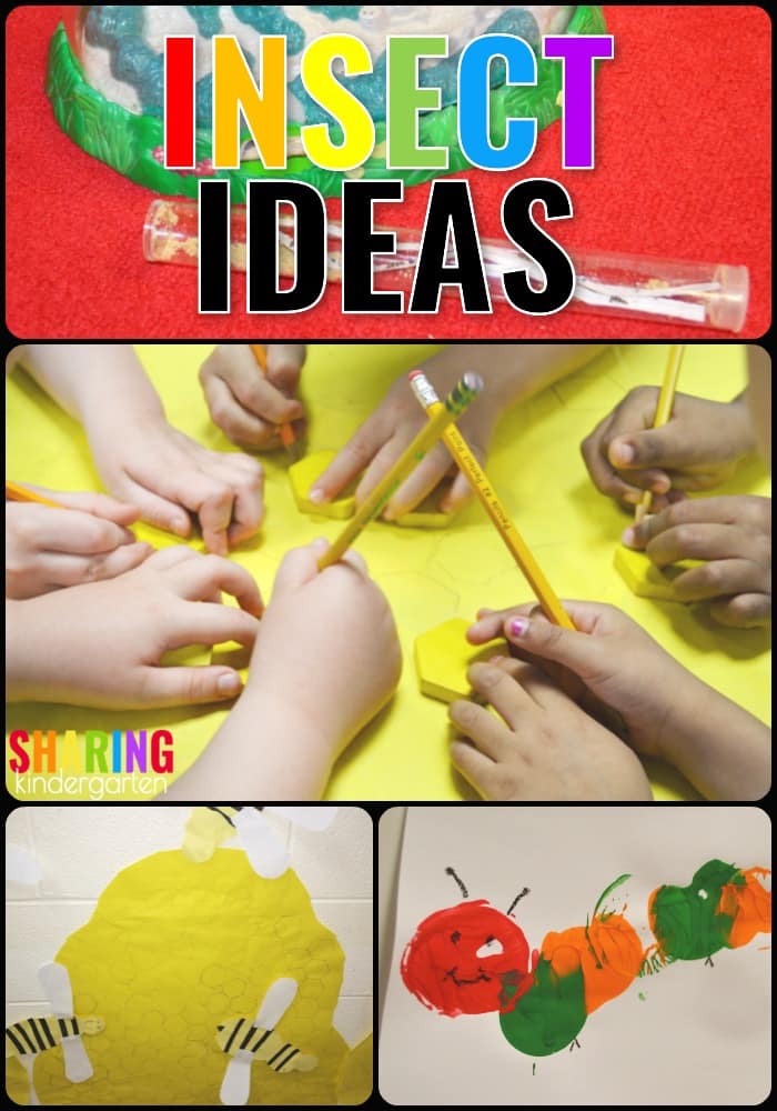INSECT LONG Insect Ideas for Kindergarten
