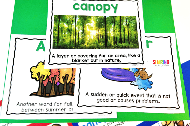 The Leaf Thief Activity: Vocabulary Posters